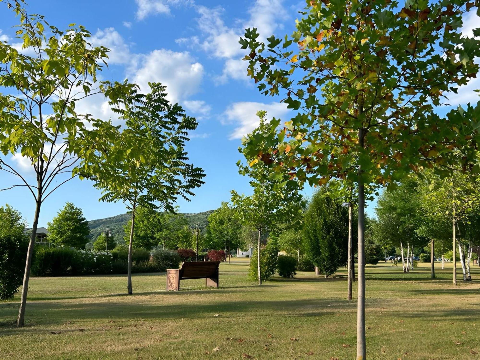 Vila Cu Mesteceni クンピナ エクステリア 写真